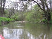 IMG_7948_resize.JPG