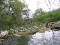 IMG_8070_resize.JPG