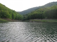 IMG_8177_resize.JPG