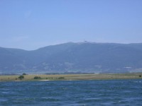 IMG_8295_resize.JPG