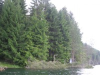 IMG_9008_resize.JPG