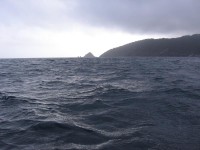 IMG_9715_resize.jpg
