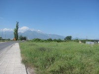 img_0508.jpg