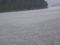 IMG_6665.JPG (81.12 KiB) Viewed 6529 times Дъжд заваля