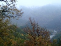 PA286657.JPG
