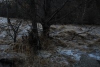 DSC_0160.JPG