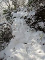 IMGP2310.JPG