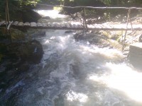 Image0494.jpg