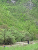 IMG_3410_resize.JPG